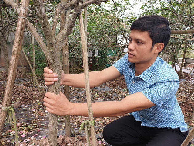 ninh binh: trong hoa hong co ban tet, 9x bo tui tram trieu dong hinh anh 12