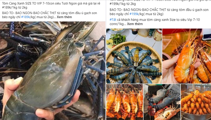 Tôm càng xanh cỡ víp 7-8 con/kg giá siêu rẻ chỉ từ 189k, khiến khách mua giật mình nhưng chất lượng còn bất ngờ hơn - Ảnh 1.