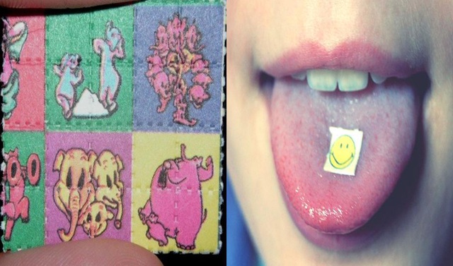 Ma túy giả dạng thực phẩm hủy hoại giới trẻ như thế nào? - Ảnh 5.