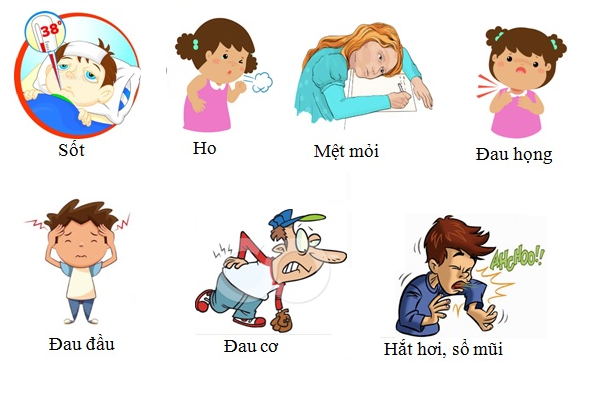 Kinh giới làm giảm các triệu chứng sau tiêm phòng COVID-19 - Ảnh 3.