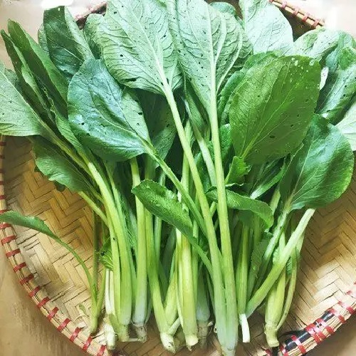 Cách lựa chọn, bảo quản, chế biến rau cải an toàn dầu dinh dưỡng - Ảnh 3.