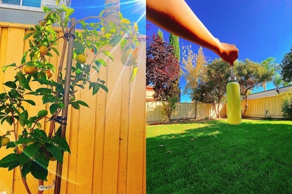 2 căn nhà sang trọng được thiết kế siêu ấn tượng, đẹp xuất sắc từng centimet, cực hợp với những ai yêu thích màu trắng tinh khôi