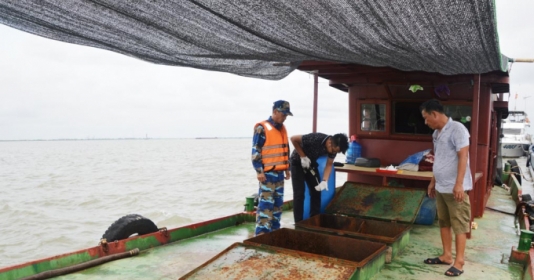 Tạm giữ 35.000 lít dầu DO không rõ nguồn gốc trên vùng biển Quảng Ninh và Hải Phòng