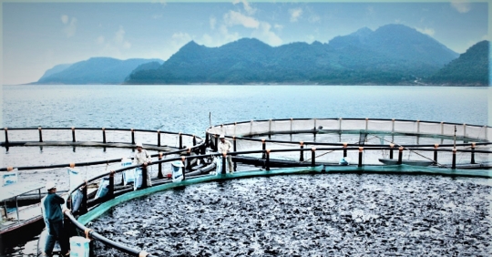 Sơn La xây dựng chiến lược để thu hút doanh nghiệp lớn