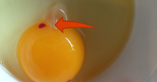 Đập trứng gà ra bát thấy có vệt đỏ như máu, nên ăn hay bỏ đi?