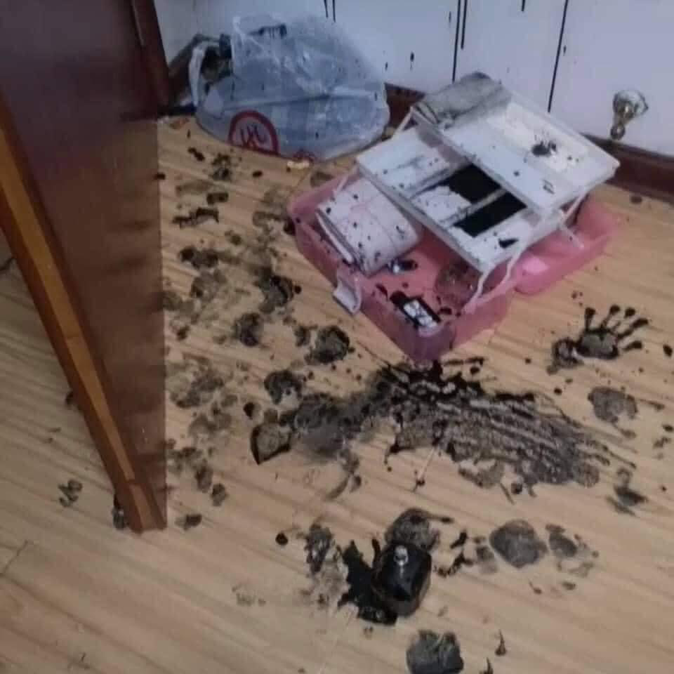 Kiếm được hộp mực, bé gái tạo nên tác phẩm khiến phụ huynh hốt hoảng - Ảnh 4.