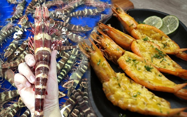 Loại tôm giá 950k/kg, đắt hơn cả tôm hùm được nhiều người 'săn lùng' về thưởng thức
