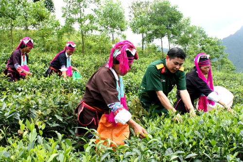 Quân khu 3 quán triệt, thực hiện Nghị quyết 520 của Quân ủy Trung ương