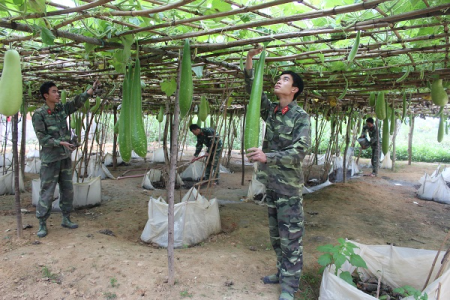 Đẩy mạnh tăng gia sản xuất, thực hành tiết kiệm, nâng cao đời sống bộ đội