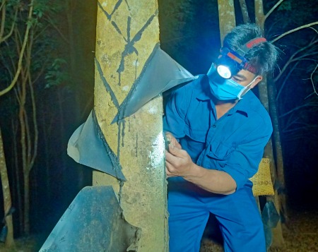 Binh đoàn 15 đoàn kết, sáng tạo hoàn thành thắng lợi “mục tiêu kép”