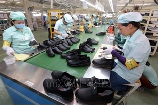 Positive indicators light up footwear trade to US