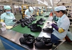 Positive indicators light up footwear trade to US
