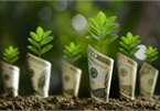 Euro banks offering green solutions
