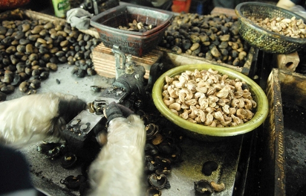 Exporters endeavouring to avert conflict-induced delays