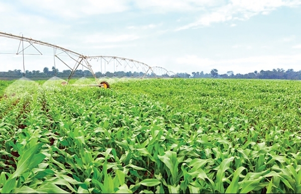 Modern strategies vital for agricultural funding surge