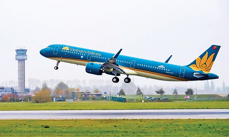Groups like national carrier Vietnam Airlines are in dire need of supporting policies, Photo: Le Toan