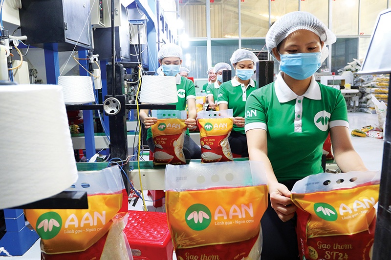 Vaccine rollout critical for recovery