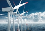 Transparent mechanisms advised to make most of offshore wind potential