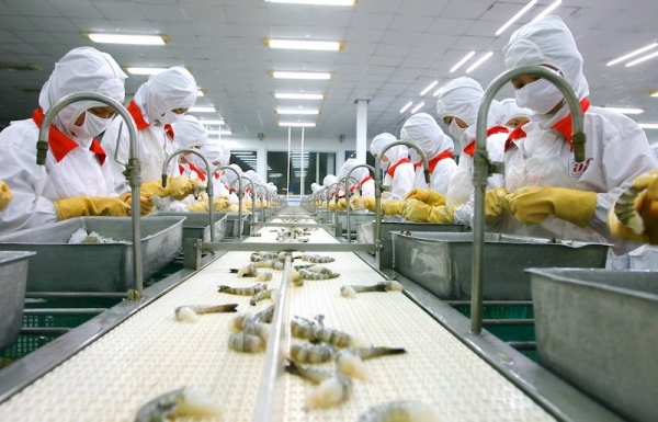 Pandemic continues to put hardship on enterprises in the Mekong Delta