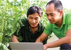 Broader digital application needed in agriculture