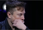 Elon Musk mất gần 6 tỷ USD sau vụ tai nạn xe Tesla