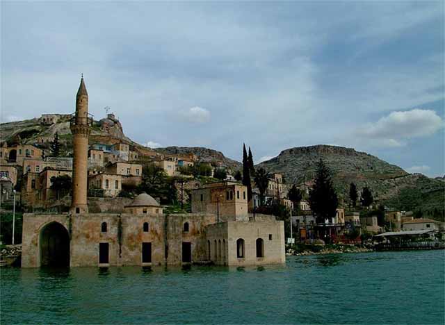 noi duy nhat tren the gioi ton tai hoa hong den huyen bi hinh anh 1