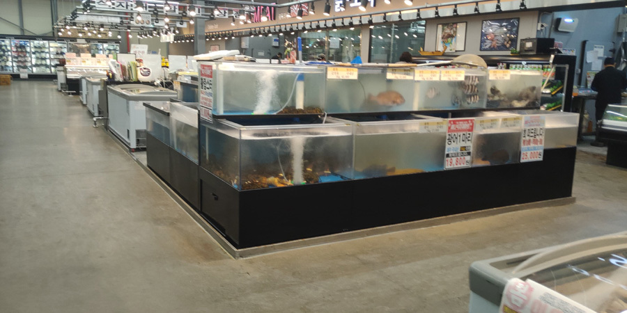 Du học sinh Việt ở tâm dịch Hàn Quốc: ‘Bạn bè em đặt vé về hết rồi’