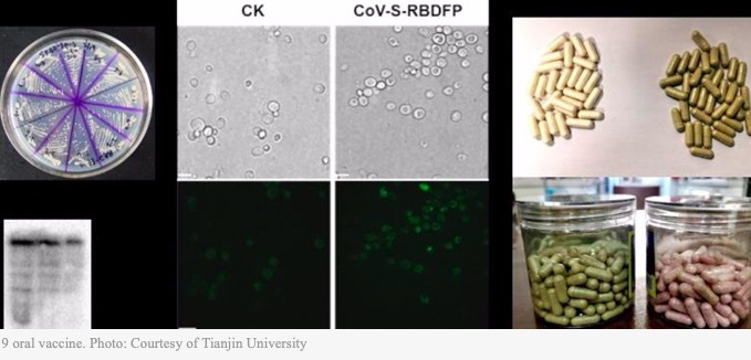 Thế giới chuẩn bị cho tình huống Covid-19 thành đại dịch