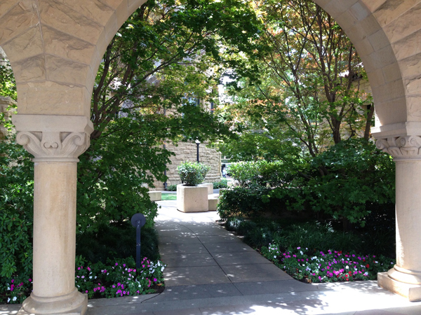 Khuôn viên nhiều cây xanh lãng mạn không kém các công viên ở đại học Standford.