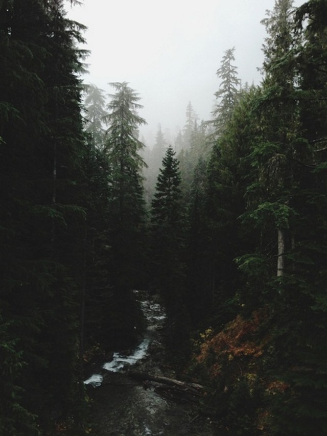 Bộ sưu tập ảnh thiên nhiên tuyệt đẹp chụp bởi iPhone 6