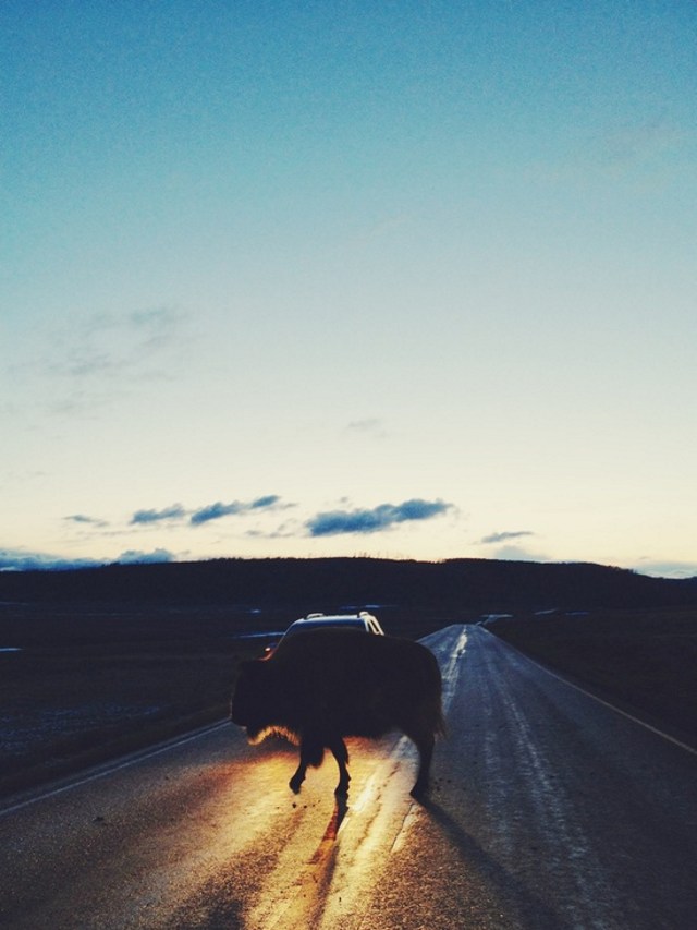 Bộ sưu tập ảnh thiên nhiên tuyệt đẹp chụp bởi iPhone 6