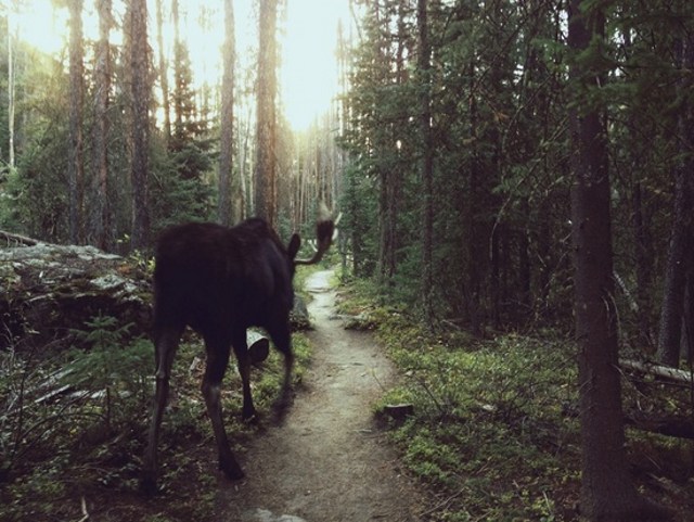 Bộ sưu tập ảnh thiên nhiên tuyệt đẹp chụp bởi iPhone 6