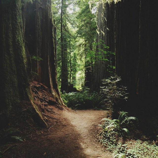 Bộ sưu tập ảnh thiên nhiên tuyệt đẹp chụp bởi iPhone 6