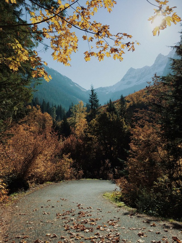 Bộ sưu tập ảnh thiên nhiên tuyệt đẹp chụp bởi iPhone 6