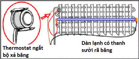 Những pha động vật nghĩa hiệp cứu mạng sinh vật khác loài gây kinh ngạc