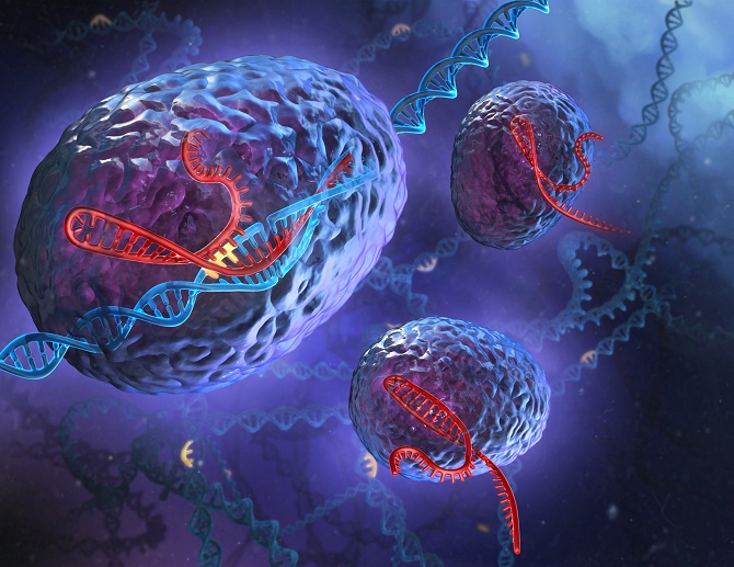 Một loại protein có tên cas9 sẽ cho phép cắt bỏ các phần bị lỗi của ADN, cho phép con người chỉnh sửa gen để khắc phục bệnh tật.