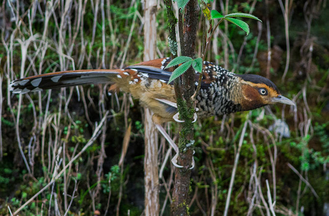 10 phát hiện mới về Trái Đất trong 2015 - ảnh 2