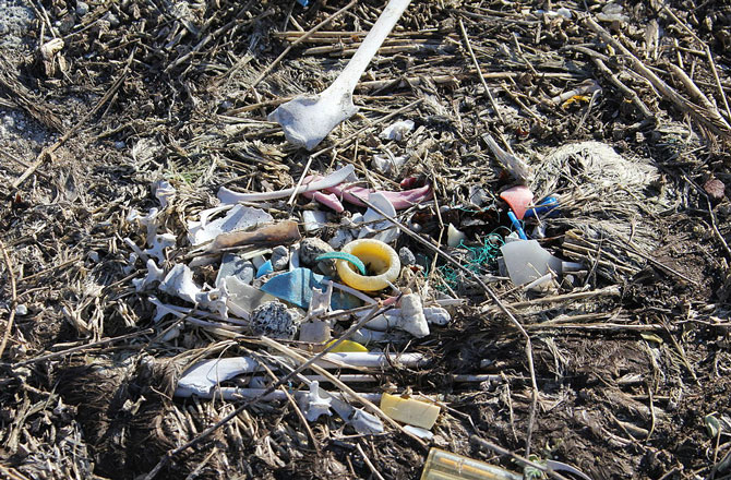 10 phát hiện mới về Trái Đất trong 2015 - ảnh 10