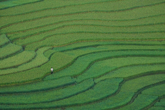 Bộ ảnh Việt Nam tuyệt đẹp trên Photography Life - ảnh 9