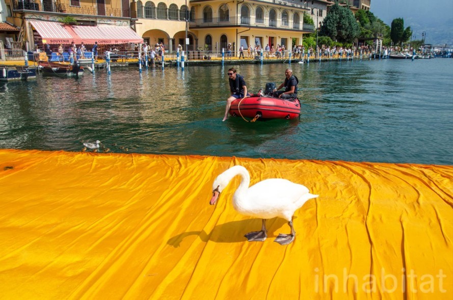 Cây cầu kỳ lạ giúp hơn nửa triệu người đi trên mặt nước - ảnh 5