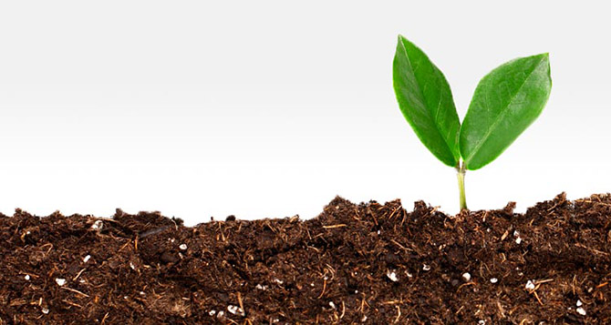 Vì sao đất có màu nâu? - ảnh 1