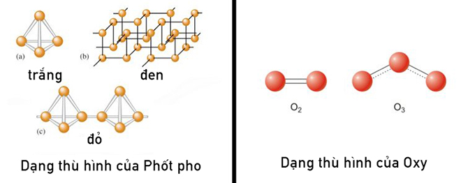 Tại sao than chì mềm nhưng kim cương lại cứng? - ảnh 2