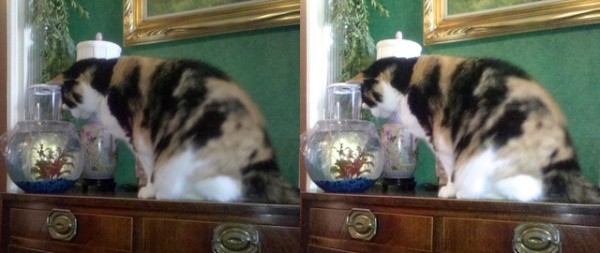 Cải thiện chất lượng ảnh chụp trên smartphone iphone android