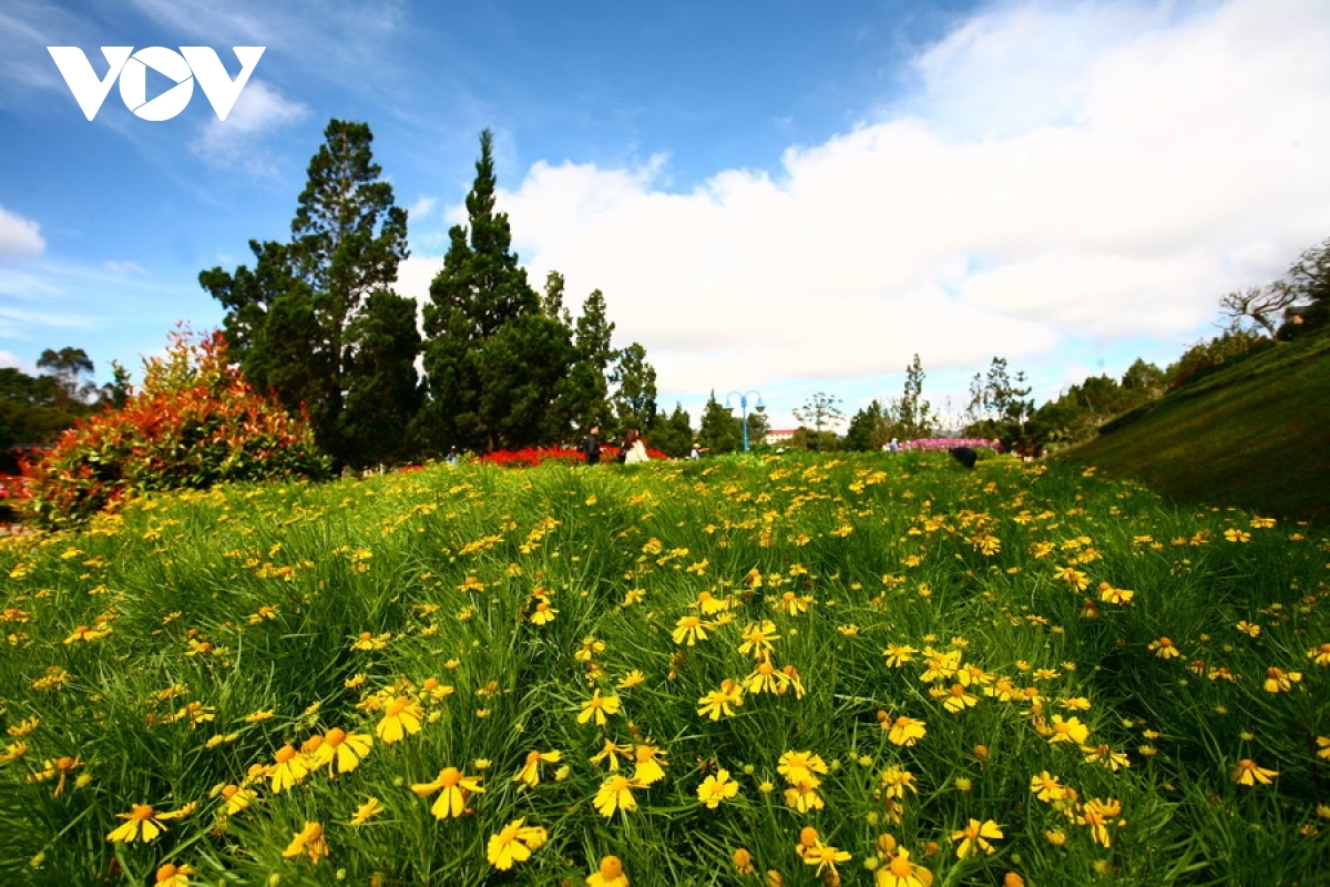 Da Lat is also well known for an abundance of flowers throughout the city.