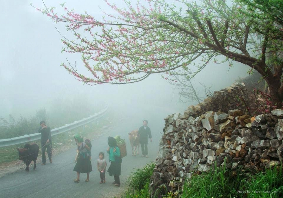 Ha Giang province is one of the first places in the nation to endure a cold spell during the autumn.