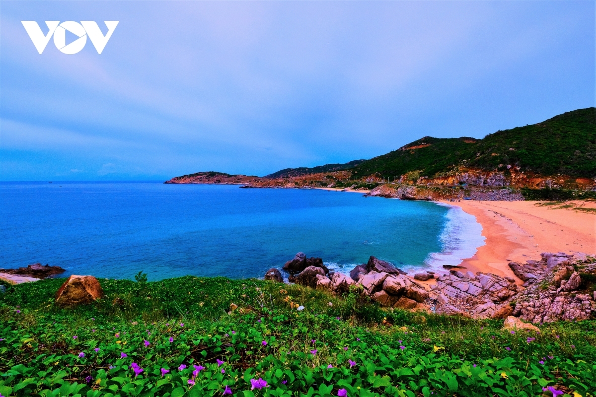 Vinh Hy bay is a local paradise that awaits visiting travelers. The area features numerous untouched beaches with crystal-blue water, white sands, and beautiful coral reefs.
