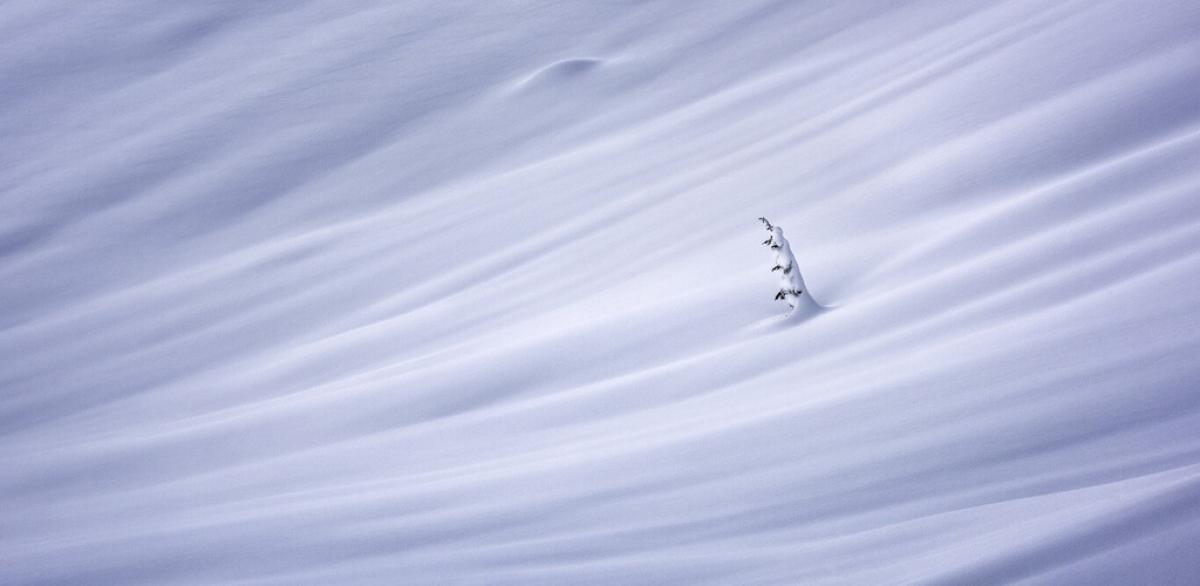 Awards organisers have received thousands of entries from 96 countries worldwide, with awards divided into different categories such as open, amateur, and digital art. Matt Jackisch of Canada claims the open photographer of the year.