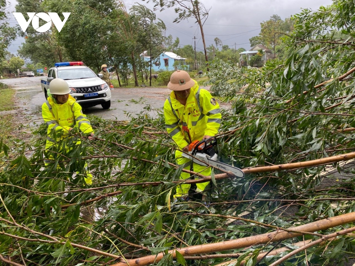 Trees collapse on national highway 1A in Phu Loc district, Thua Thien-Hue province.