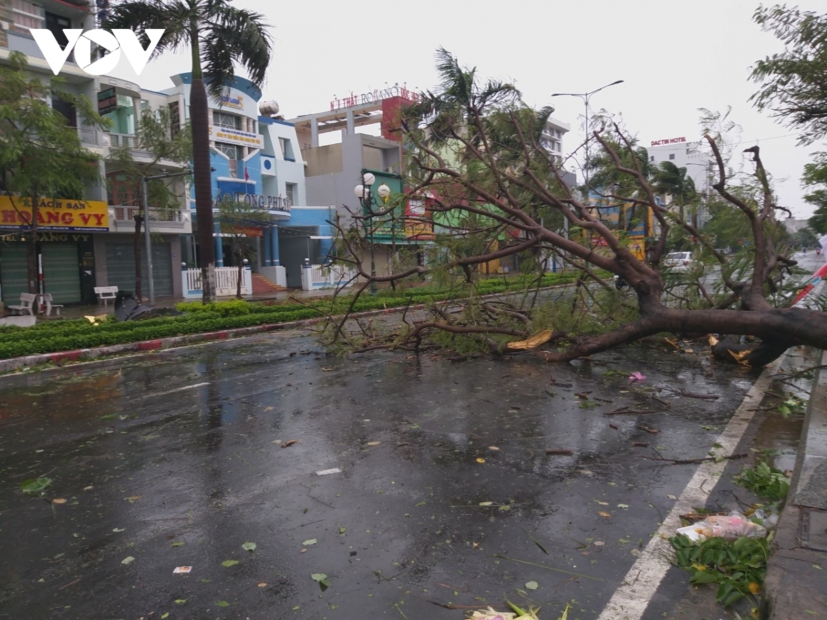 A tree is left uprooted on a street in Tuy Hoa city following the strong winds caused by Typhoon Molave on October 28. Locals have been urged to remain at home and stay safe.
