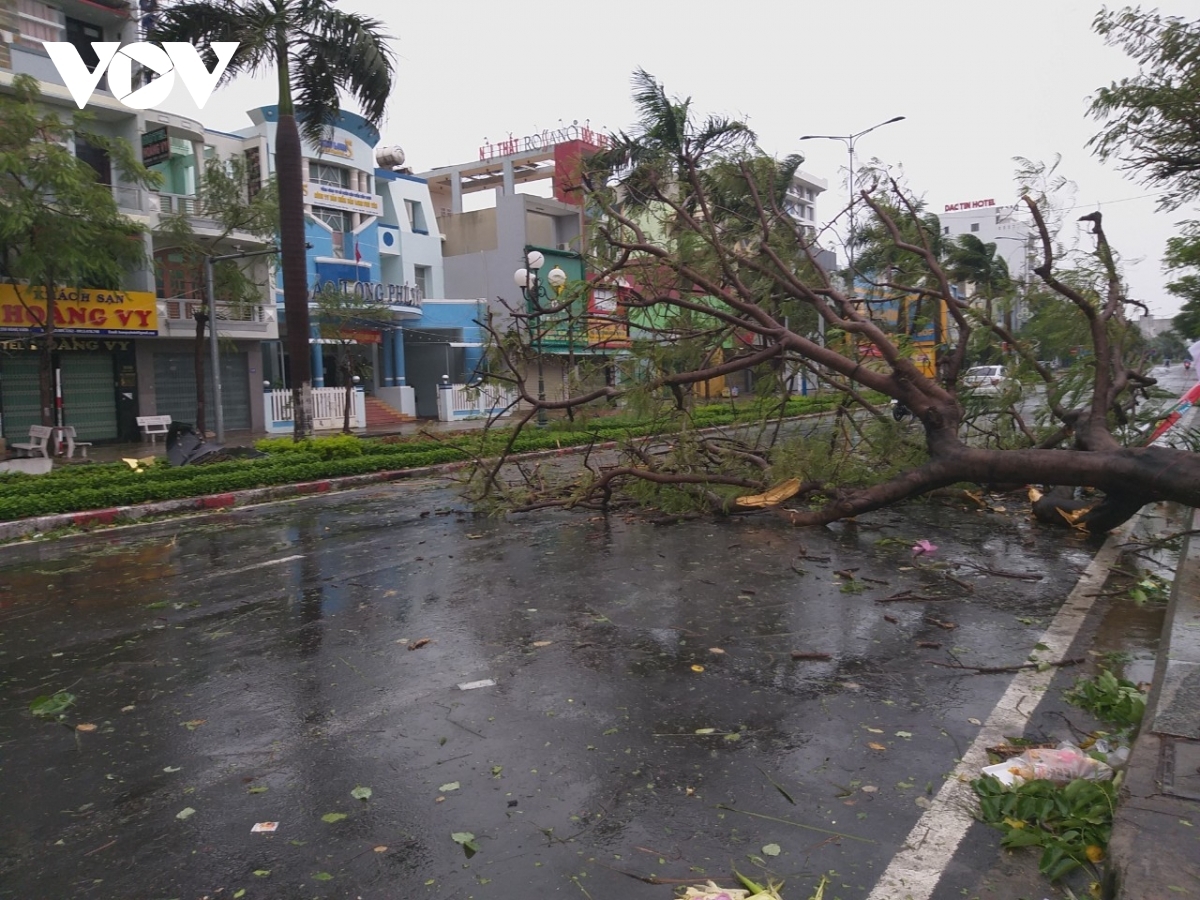 A tree is left uprooted on a street in Tuy Hoa city following the strong winds caused by Typhoon Molave on October 28. Locals have been urged to remain at home and stay safe.